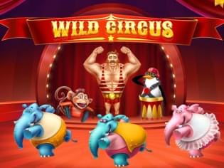Wild Circus game thumbnail